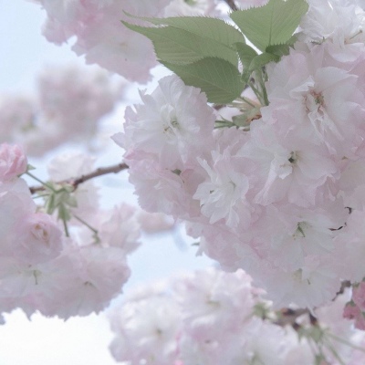 兽设四季场景设计兽圈群